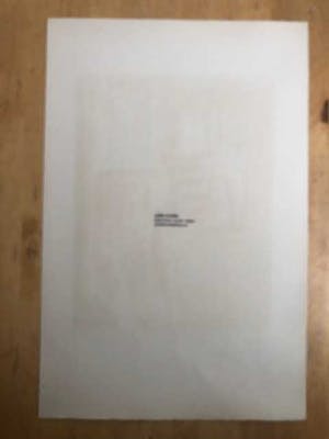 Corneille - Vol d'oiseux au printemps - 1960 kopen? Bied vanaf 350!