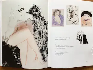 Hugo Claus - "BEELDEN" - 1988 - Cassette - Groot formaat - 40 x 30 cm - Uitstekende staat kopen? Bied vanaf 65!