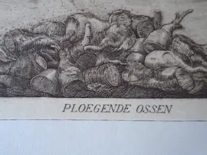 Pieter Dupont - Ploegende ossen kopen? Bied vanaf 125!