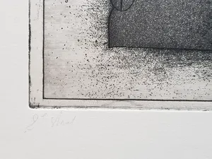 Jan Prins - Prachtige Ets - Gesigneerd in potlood kopen? Bied vanaf 15!