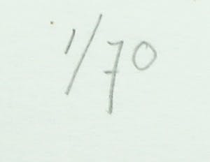 Els Maasson - Ets, Kameelstruis - Ingelijst kopen? Bied vanaf 20!