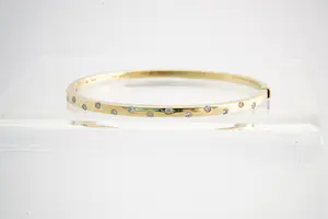 NV (133)- Elegante 18 Krt goud & diamanten (0.35ct) dames-armband - ovaal model kopen? Bied vanaf 730!