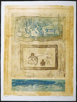 Jan Montyn - Kleurenets, Les jardins sauvages kopen? Bied vanaf 1!