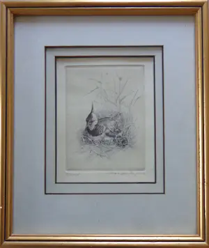 Maarten Langbroek - LOT 2 STUKS / KIEVIT + KAPMEEUW / ZW-W ETS / 26x22cm / KADER / SIG kopen? Bied vanaf 45!