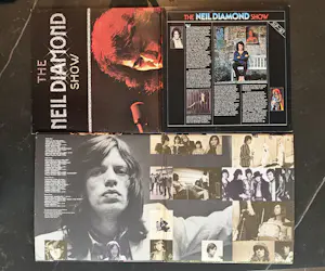 Various artists - Queen - Elton - the rolling stones - Niel diamond kopen? Bied vanaf 28!