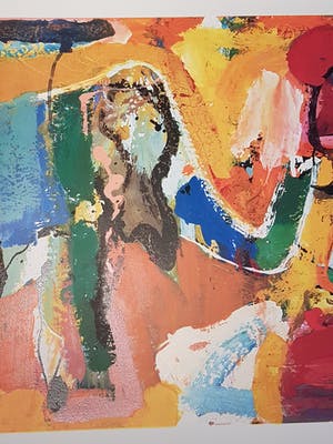 Guillaume Lo-A-Njoe - Orange elefhant kopen? Bied vanaf 25!