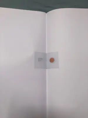 Pietsjanke Fokkema - Utwrydsk kopen? Bied vanaf 25!