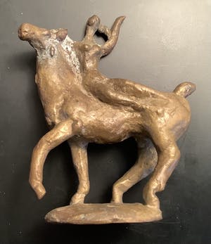 Kees de Kruijff - Amazone kopen? Bied vanaf 175!