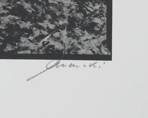 Ralph Janowski - Mooie zwart/wit print, Klimop kopen? Bied vanaf 1!