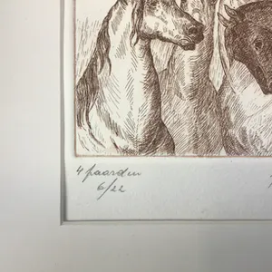 Noël Matthijs - 4 paarden kopen? Bied vanaf 1!