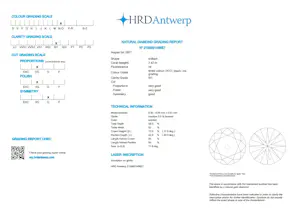 Diamanten ring kopen? Bied vanaf 6500!