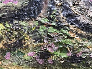 Niet of onleesbaar gesigneerd - Boom. kopen? Bied vanaf 1!