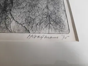 Ad Kooijmans - Ets, Zonnebloem. kopen? Bied vanaf 35!