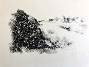 Metten Koornstra - Litho, duinlandschap verkocht voor € 65!