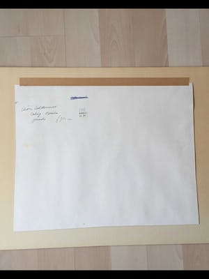 Leon Zeldenrust - doorkijkje in Calig (Spanje) kopen? Bied vanaf 50!