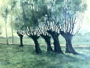 Ad van der Kop - Knotwilgen - Olieverf op doek, Fraai Ingelijst kopen? Bied vanaf 175!