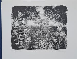 Jan Mensinga - De Schepping - 7 handgesigneerde litho's kopen? Bied vanaf 110!