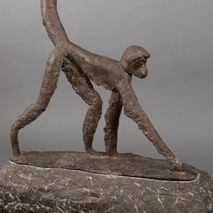 Barbara de Clercq - Slingeraap Brons kopen? Bied vanaf 725!