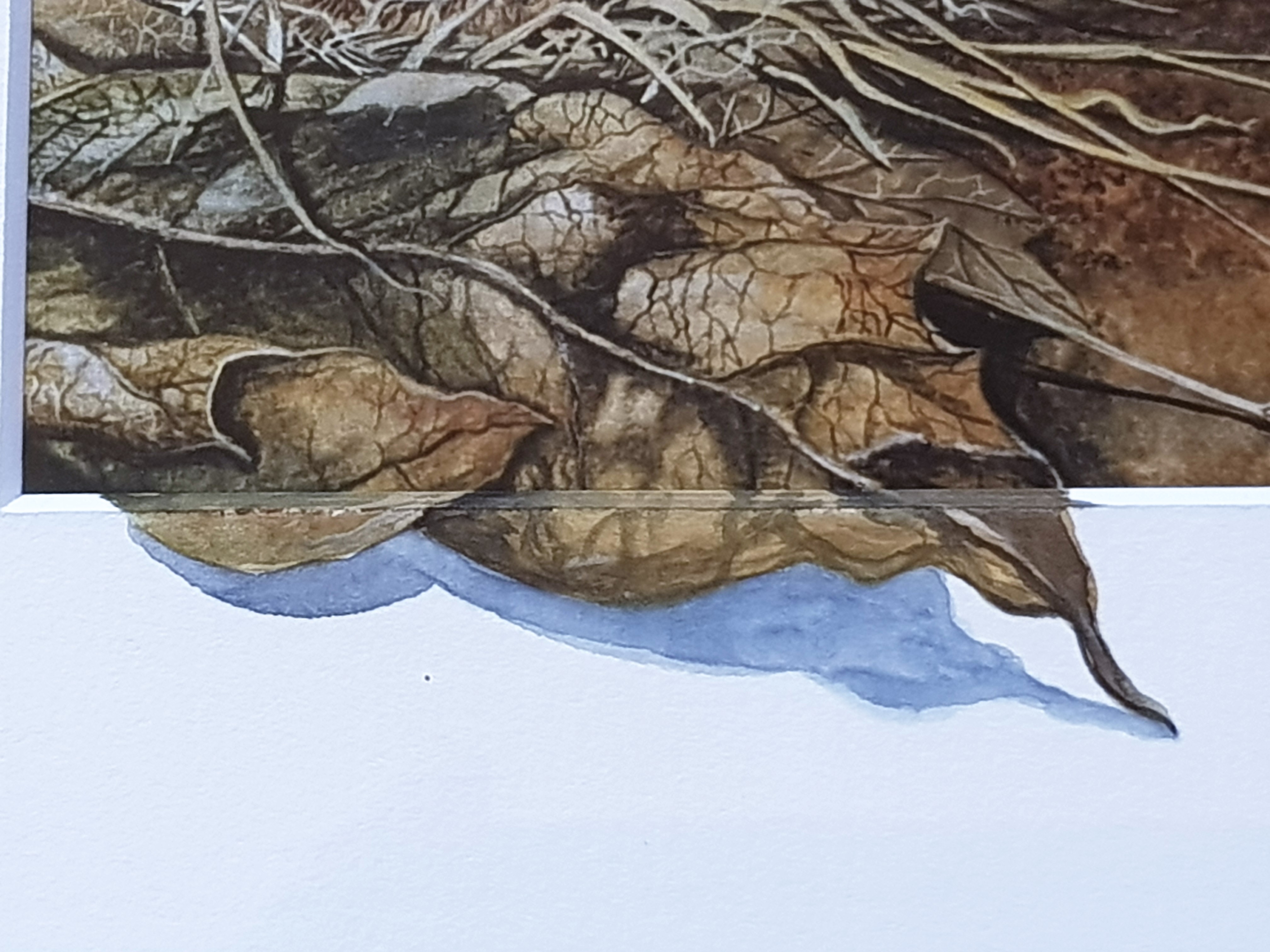 Hennie van Dijk - Voedertijd - Ingelijst met Certificaat kopen? Bied vanaf 30!