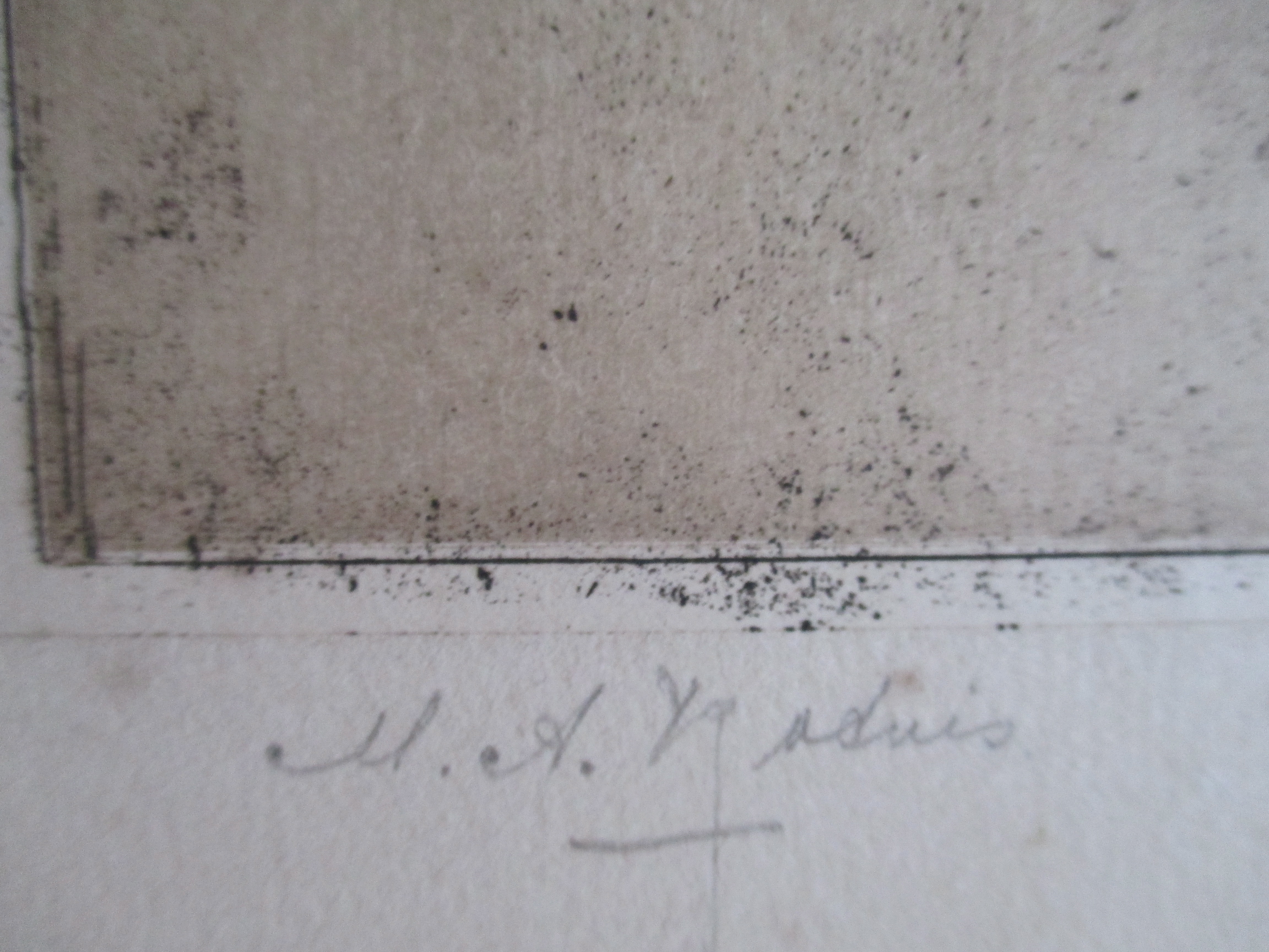 Niet of onleesbaar gesigneerd - Ets bloem kopen? Bied vanaf 1!