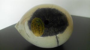 Jos Kippes - raku vogel kopen? Bied vanaf 29!