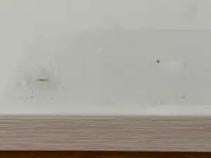 Willem van Veldhuizen - Vrouwelijk naakt kopen? Bied vanaf 150!