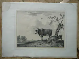 Arie Ketting de Koningh - Koeien (P Potter) 1846 kaufen? Bieten Sie von 20!