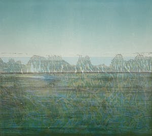 Willem de Vries - houtsnede | 'Naardermeer' | 1986 kopen? Bied vanaf 70!