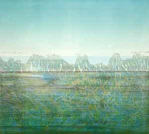 Willem de Vries - houtsnede | 'Naardermeer' | 1986 verkocht voor € 70!