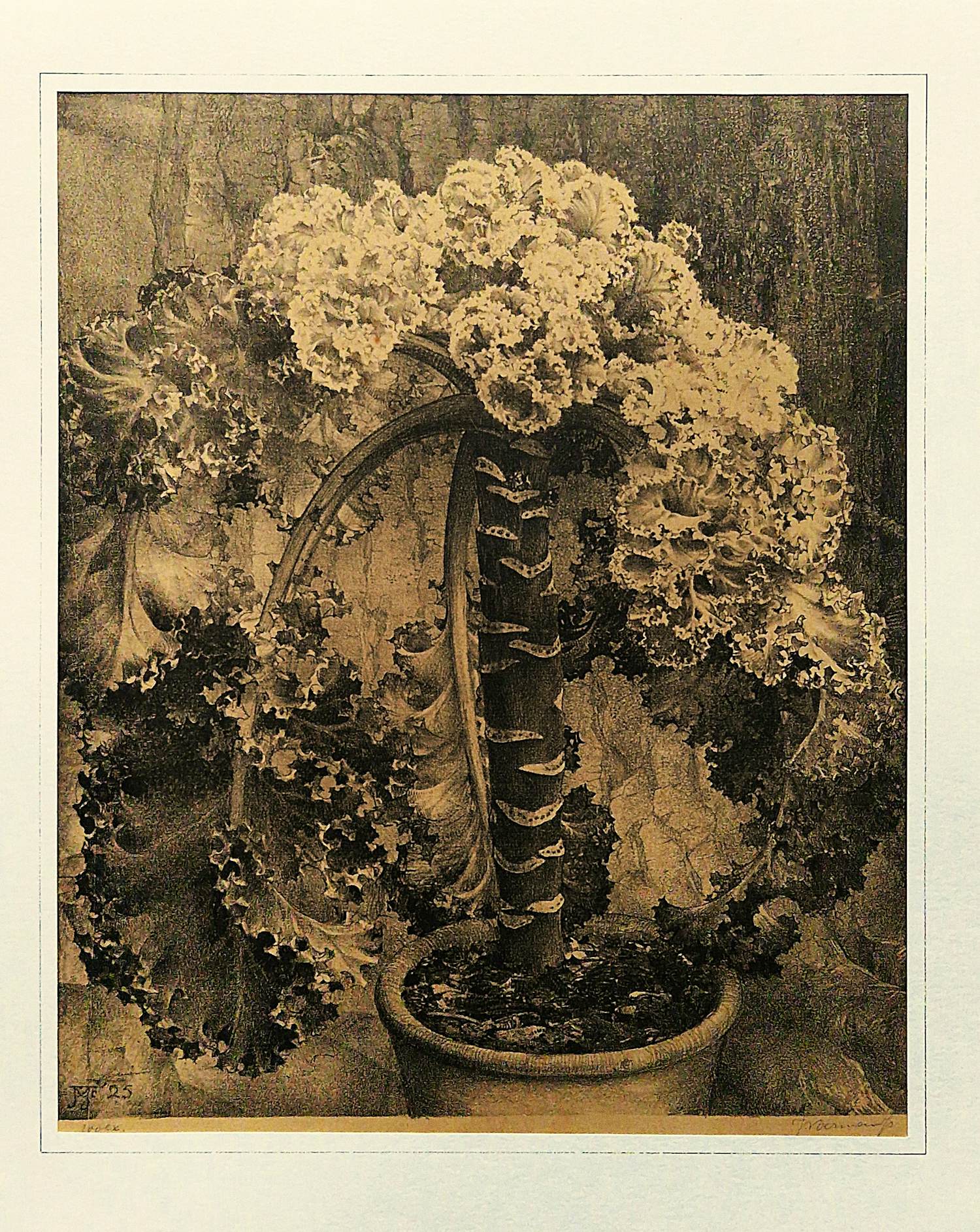 Jan Voerman (jr.) - Grote lithografie - 1925 - "bloeiende potplant" - beperkte oplage (100) kopen? Bied vanaf 38!