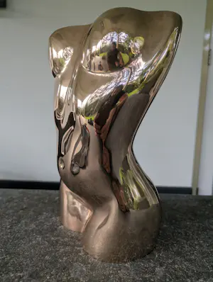 Judith Wiersema - Torso vrouw kopen? Bied vanaf 1200!