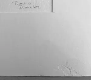 Ronald Boonacker - Tanzania II kopen? Bied vanaf 65!