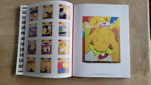 KAWS - What Party - Phaidon limited edition boek - Roze editie kopen? Bied vanaf 100!