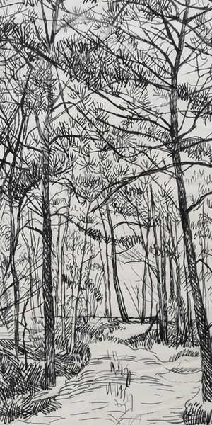 Herman Bieling - Herfstbos kopen? Bied vanaf 80!