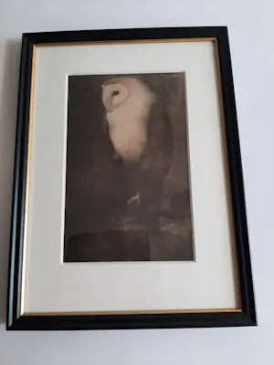 Jan Mankes - Originele Heliogravure Uil op Boomtak 1923 kopen? Bied vanaf 120!