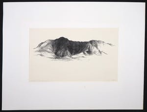 Wim de Bruin - Litho, Landschap kopen? Bied vanaf 1!