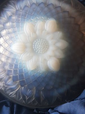 Rene Lalique - Leafs kopen? Bied vanaf 1!