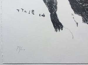 Armando - gesigneerde litho ‘das Blatt’ - 2010. kopen? Bied vanaf 225!