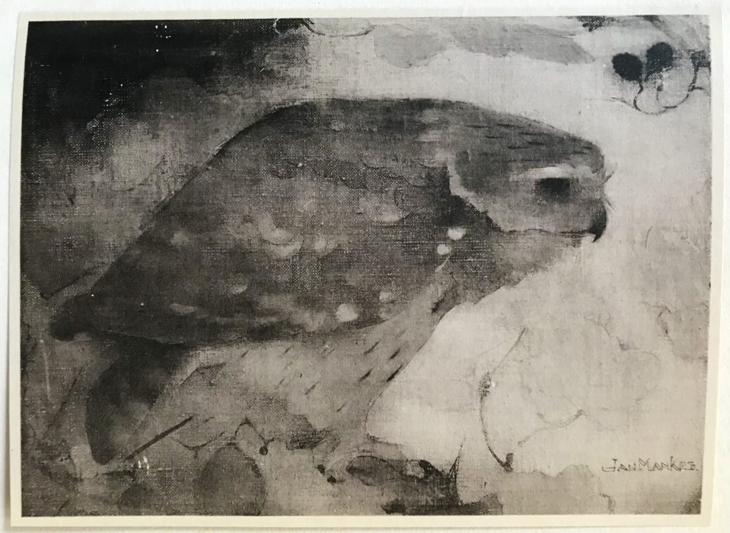 Jan Mankes - Originele Heliogravure Roofvogel op Tak 1923 verkocht voor € 1!