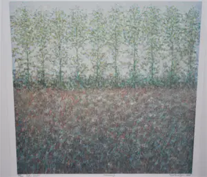 Hans Dolieslager - Bomenrij - zeefdruk, oplage 40 - prachtig ingelijst kopen? Bied vanaf 100!