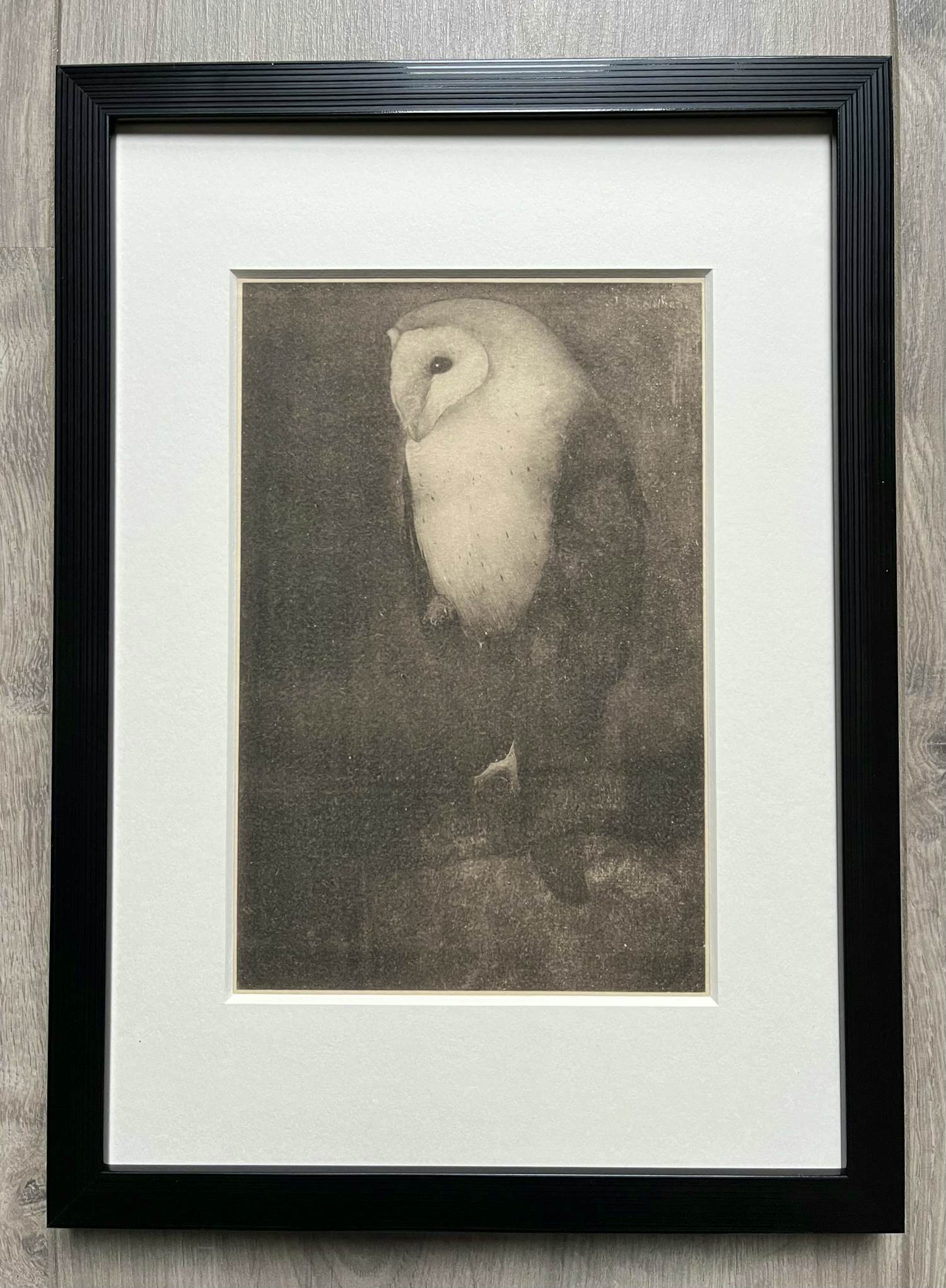 Jan Mankes - Originele Heliogravure Uil op Boomtak 1927 verkocht voor € 165!