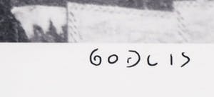 David Godlis - Foto, Joey Ramone kopen? Bied vanaf 200!