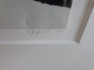 Gijs Keizer - ABSTRACT LANDSCHAP / KLEURZEEFDRUK / 71 x 68 cm / KADER / SIG kopen? Bied vanaf 30!