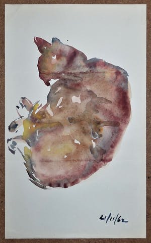 Phil Grisel - 2 Kattentekeningen (1 aquarel + 1 gewassen oost-indische inkttekening). kaufen? Bieten Sie von 50!