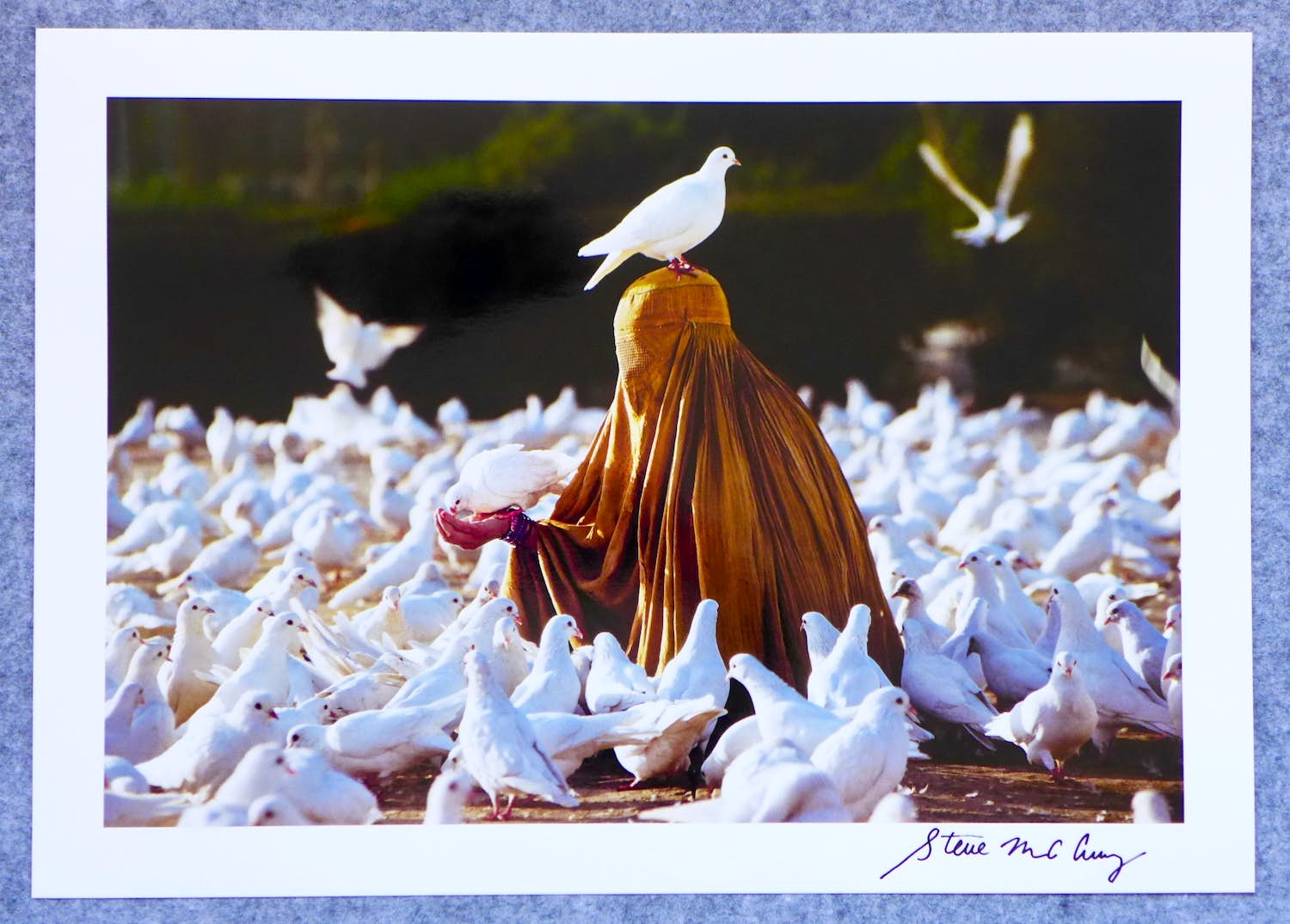 Steve McCurry - Autogramm auf Fotografie Feeding Doves Afghanistan verkocht voor € 49!