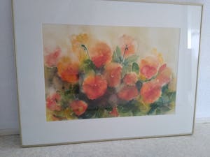 Hannelore Groot - Noordeloos - Gele violen kopen? Bied vanaf 300!