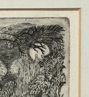 Ank Spronk - Poezen in de maneschijn kopen? Bied vanaf 20!