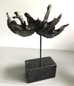 Bernadette Leijdekkers - “ Wilde Zwanen “ kopen? Bied vanaf 99!