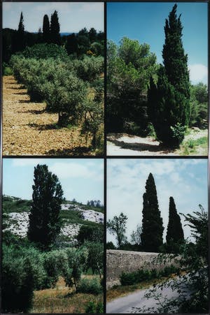 Paul Huf - C-print, Provence - Ingelijst (Groot) kopen? Bied vanaf 1!