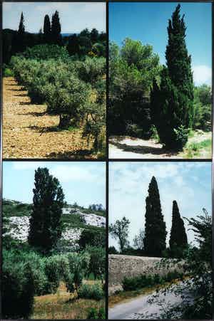 Paul Huf - C-print, Provence - Ingelijst (Groot) verkocht voor € 1!